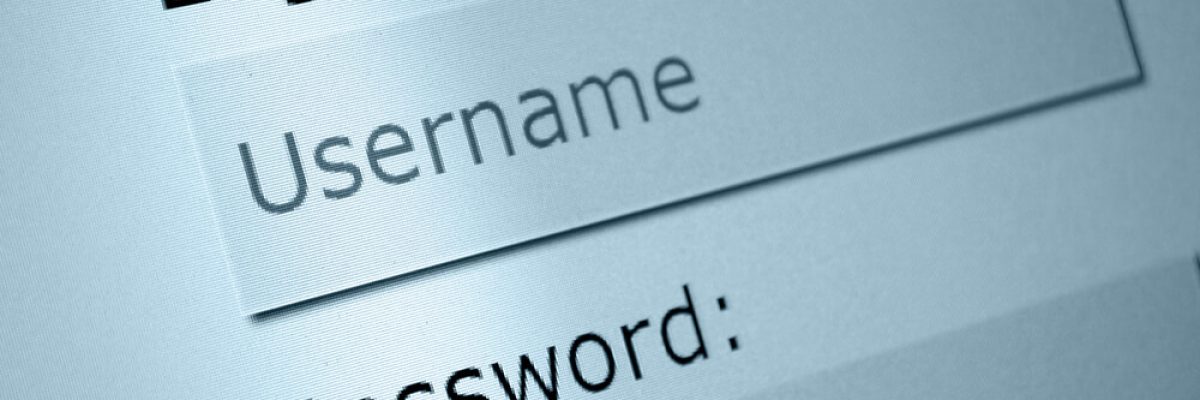 Password Anzeige